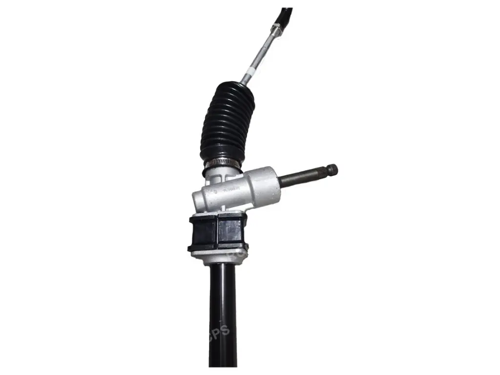 WhatsApp Image 2026-01-29 at 10.40.43 (1).webp